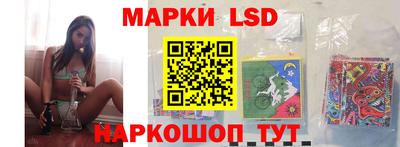 стафф Кандалакша