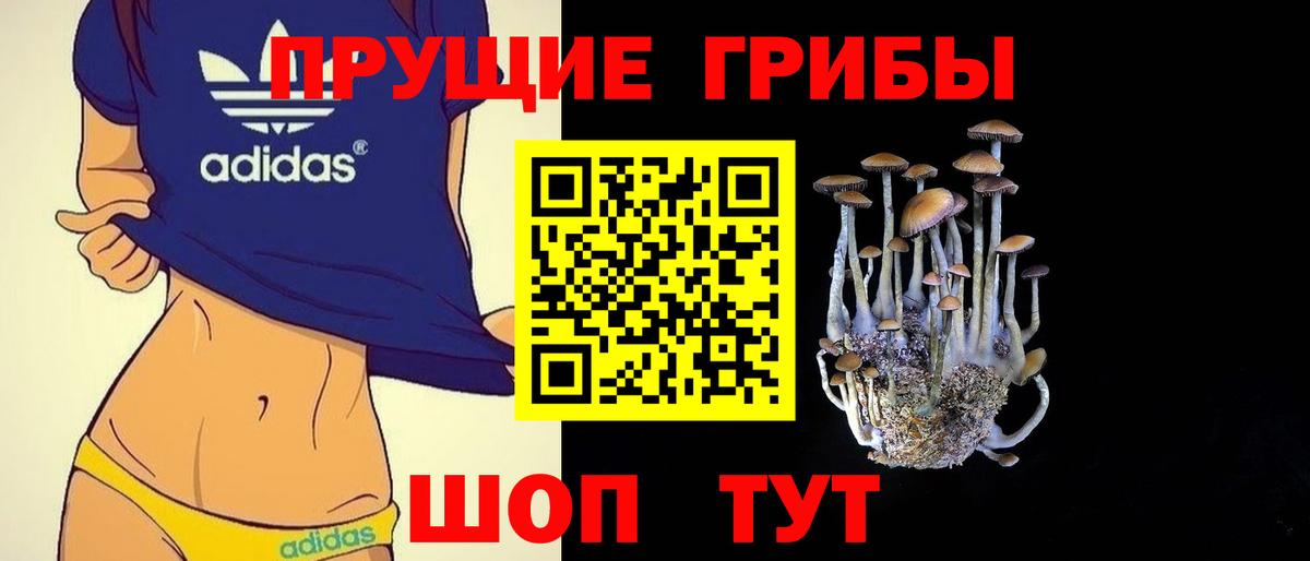 Псилоцибиновые грибы Magic Shrooms Ленинск-Кузнецкий