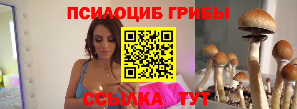 Ленинск-Кузнецкий  Галлюциногенные грибы ЛСД  Вход с VPN 